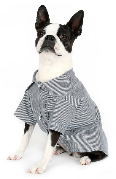 Romy + Jacob Stripe Cotton Jersey Dog Shirt